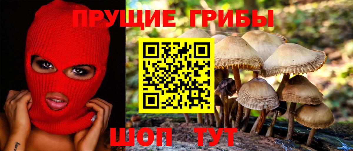 Псилоцибиновые грибы прущие грибы Челябинск